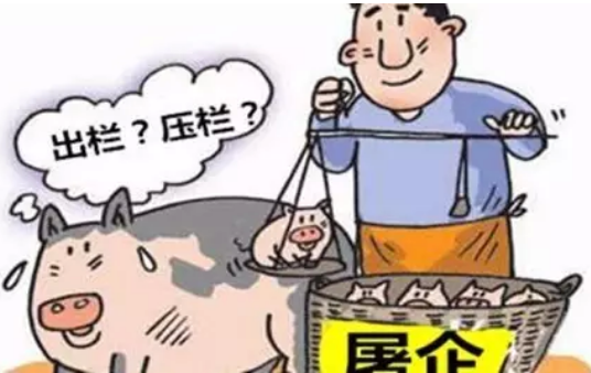 猪价暴涨暴跌，环保风暴侵袭，如何养猪才能赚大钱？