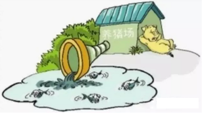 “二师兄”，真的必须赶尽杀绝吗？