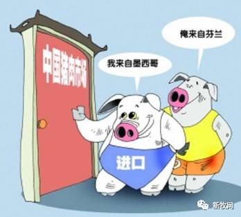 2016年进口猪肉数量同比增长108.4%！！进口猪肉均价6.5元/斤低于国内生猪价