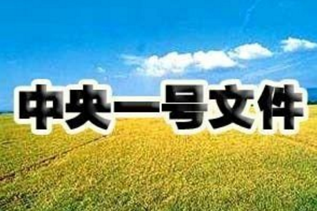 “一号文件”解读，这6个和养猪人息息相关的点一定要知道