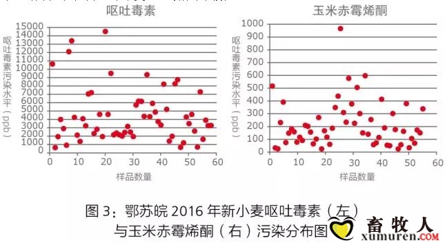 百5.jpg