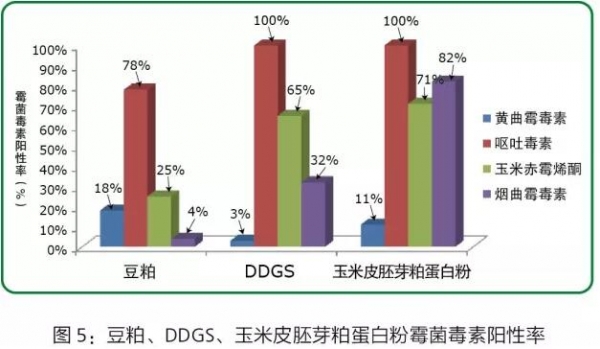 百8.jpg