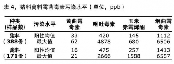 百12.jpg