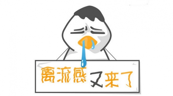 当前禽流感对豆粕影响如何？