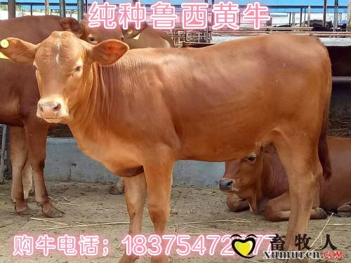 QQ图片20160731101340_meitu_1.jpg