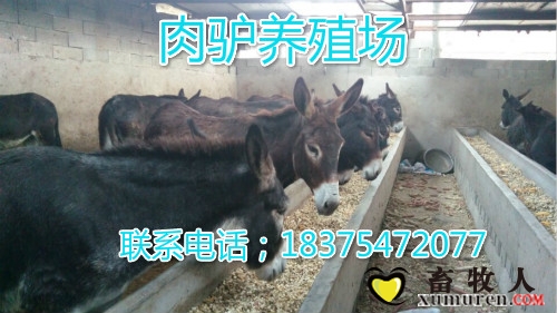 null79c56adb79cb21e6_meitu_3.jpg
