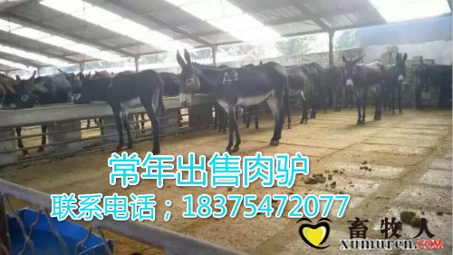 1442443725060_meitu_1.jpg
