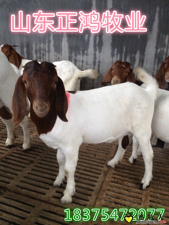 QQ图片20141127070959_meitu_8.jpg
