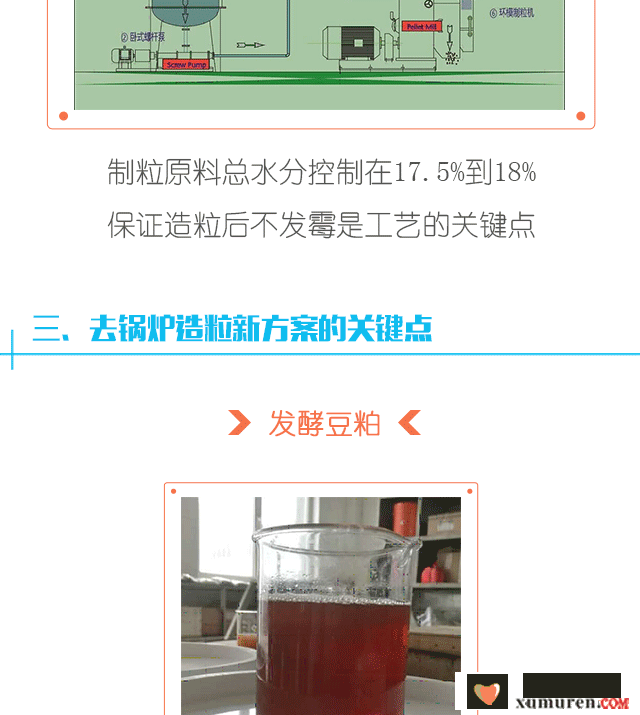 清洁营养方案5_03.png