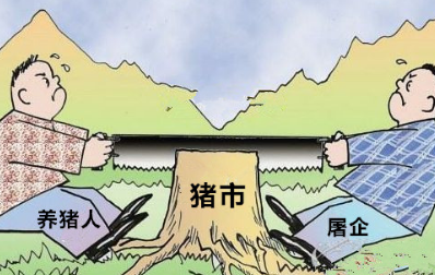 养殖户挺价意愿减弱，屠企占得上风，猪价再次缓慢下行