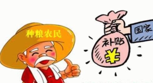 17年，怎么才能拿到玉米补贴？必看！