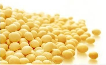 生物柴油炒作利好美豆 国内豆粕价格阶段性反弹