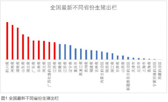 全国最新养猪排行榜！你的家乡排第几？