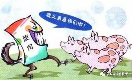 今年腹泻依然席卷全国？这些猪场告诉你如何做到防患于未然！