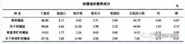 柑橘成分.webp.jpg