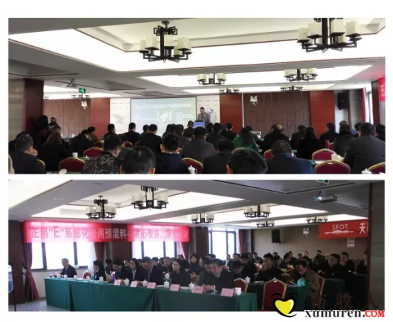 图片7.png