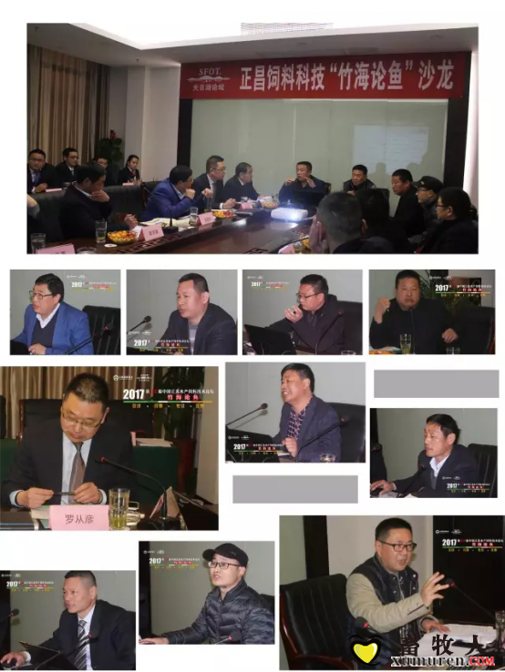 图片11.png