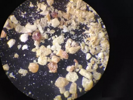 你们厂里的发酵豆粕镜检了吗？