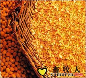 豆粕1.jpg