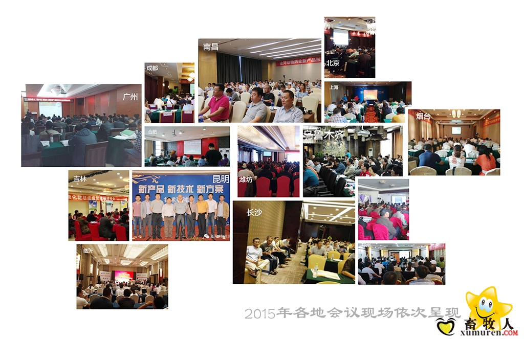 现场图20151.jpg