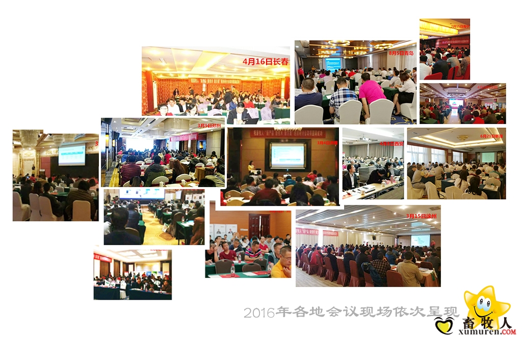 现场图20161.jpg