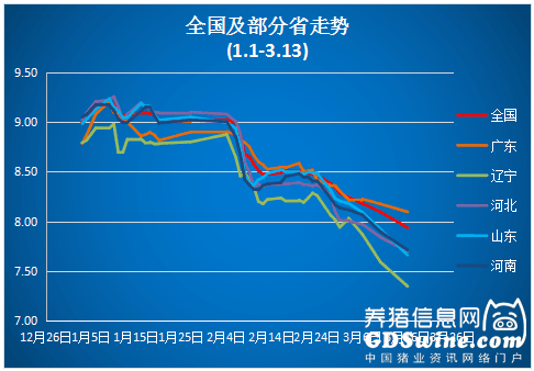 猪价跌破8元 3月还有上涨机会吗？