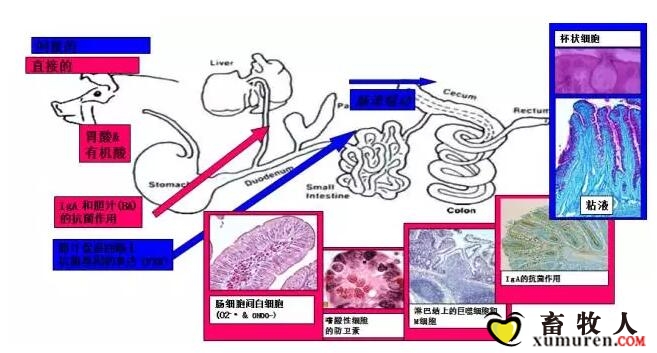 曹2.jpg