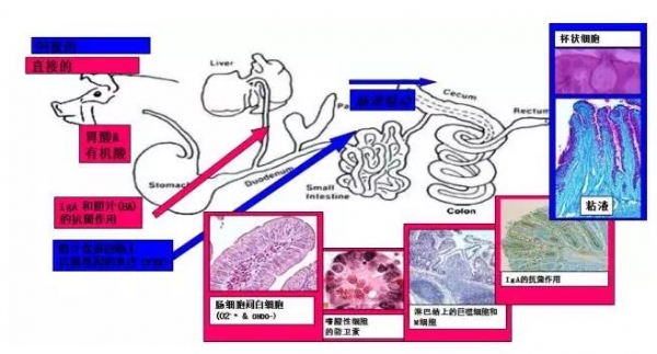 曹2.jpg