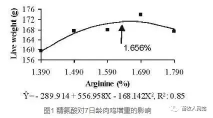 日粮补充精氨酸对肉雏鸡生长性能和小肠形态的影响