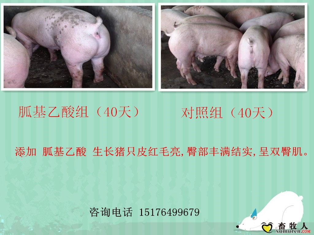 对比图.jpg