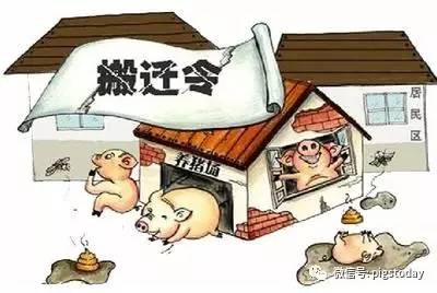 猪场拆迁和储备冻肉会影响生猪价格？