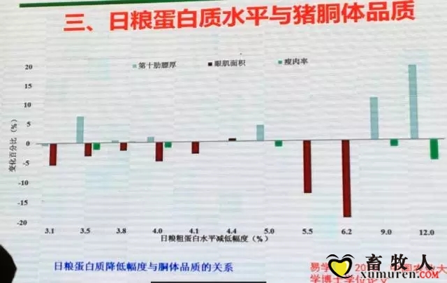 乔-4.webp.jpg