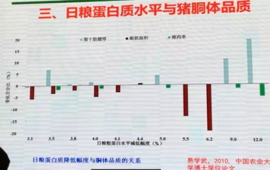 乔-4.webp.jpg