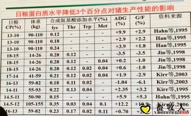 乔-2.webp.jpg