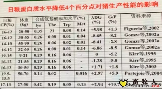 乔-3.webp.jpg