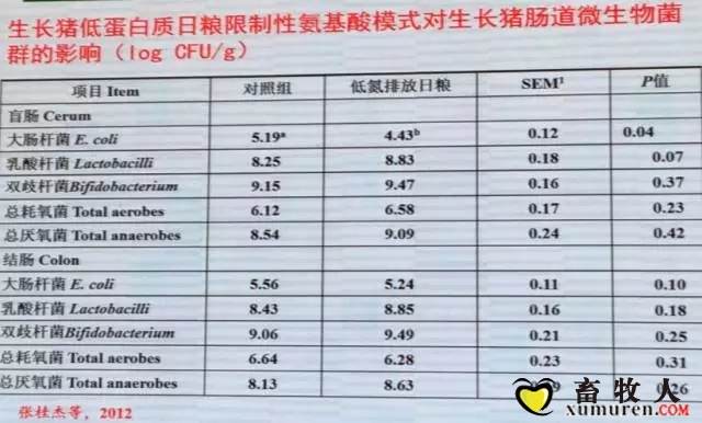 乔-5.webp.jpg