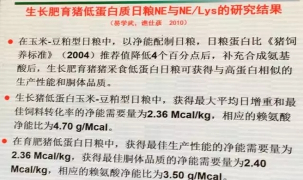 乔-6.webp.jpg