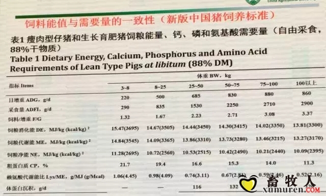 乔-8.webp.jpg