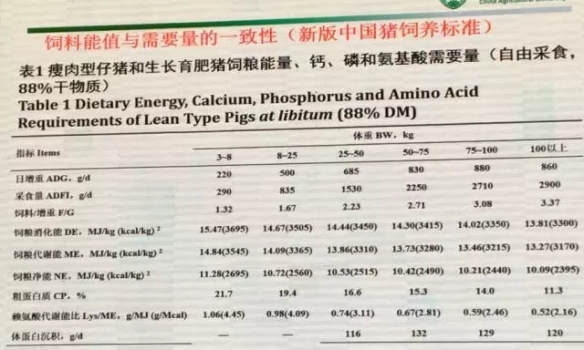 乔-8.webp.jpg