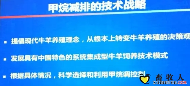 反1.webp.jpg