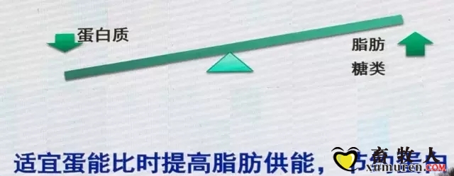 买2.webp.jpg