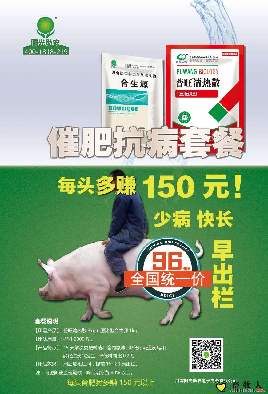 肥肥.jpg