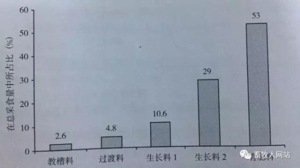 3.webp.jpg