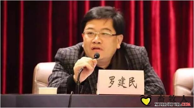 罗1.jpg