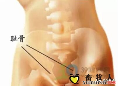 QQ截图20170504091637.jpg