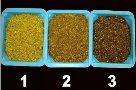 玉米DDGS使用与品质评估