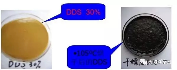 5646572.webp.jpg