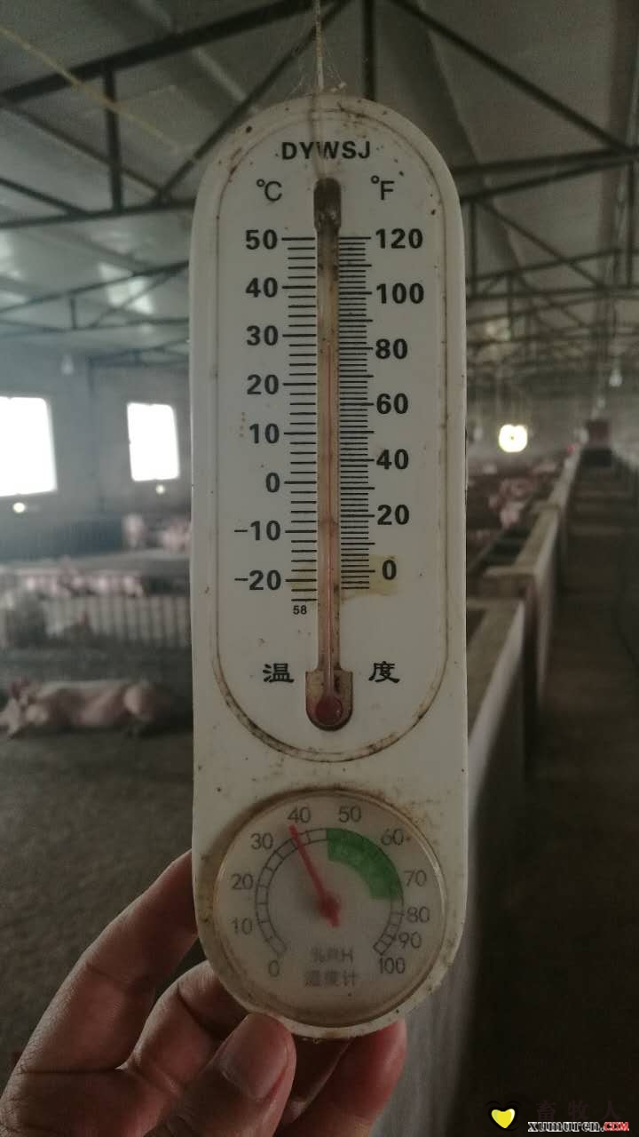 微信图片_20170511232811.jpg