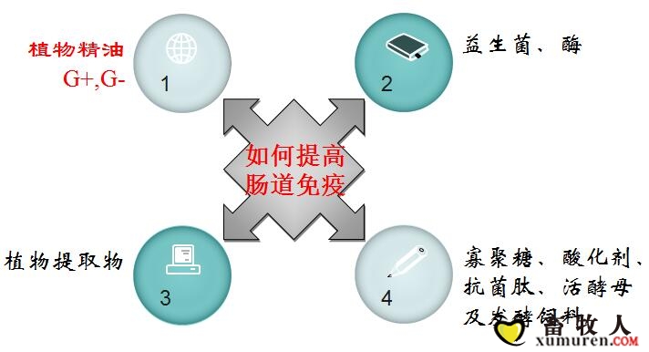 精油1.jpg