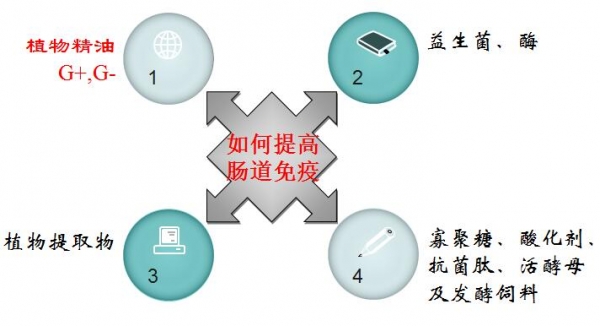精油1.jpg
